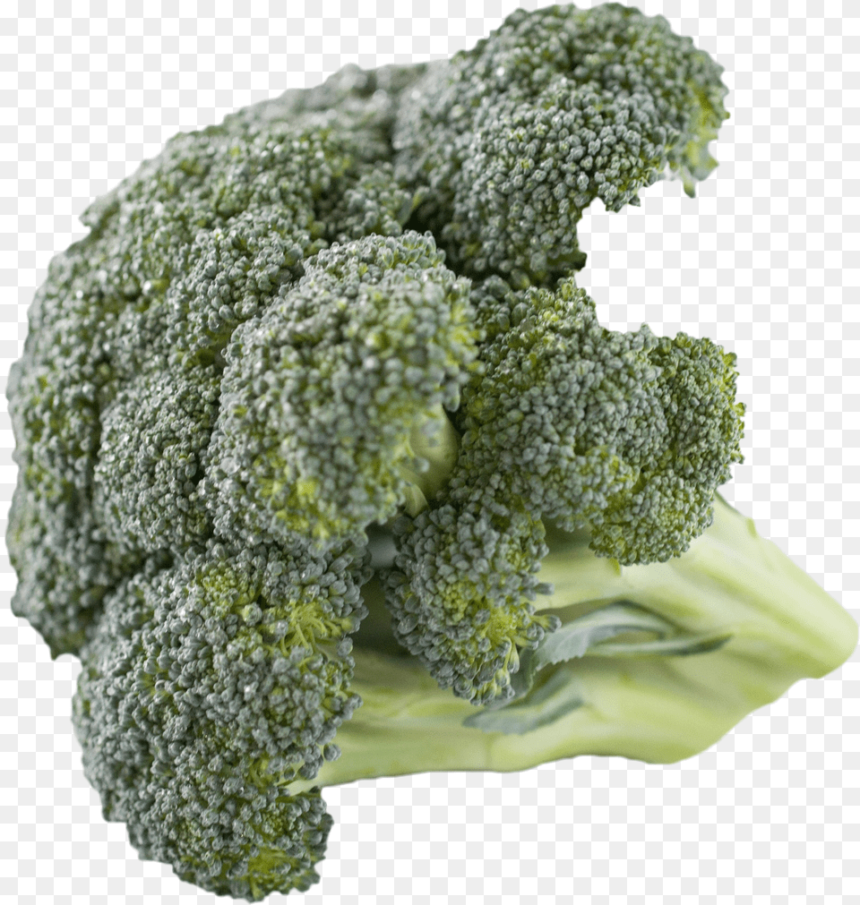 Broccoli, Food, Plant, Produce, Vegetable Free Png