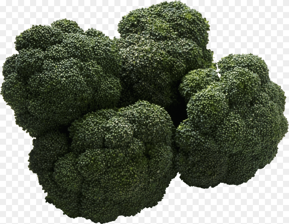 Broccoli, Food, Plant, Produce, Vegetable Free Transparent Png