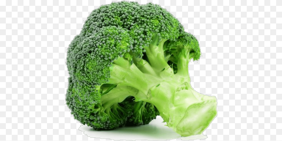 Broccoli, Food, Plant, Produce, Vegetable Free Png