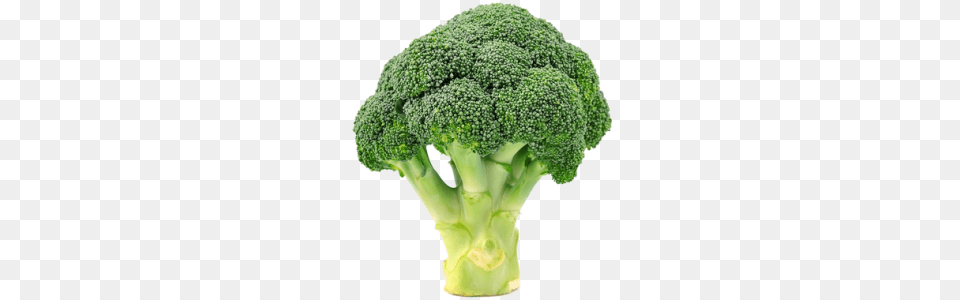 Broccoli, Food, Plant, Produce, Vegetable Free Transparent Png