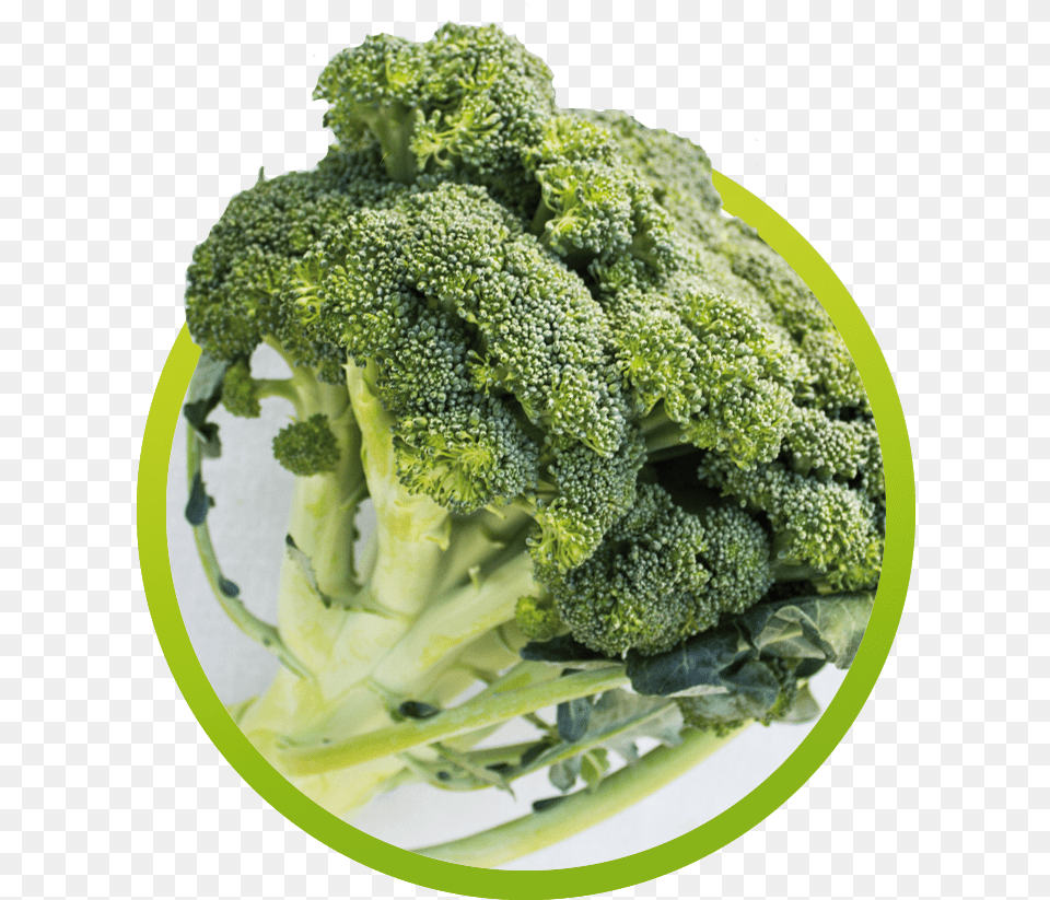 Broccoli, Food, Plant, Produce, Vegetable Png Image