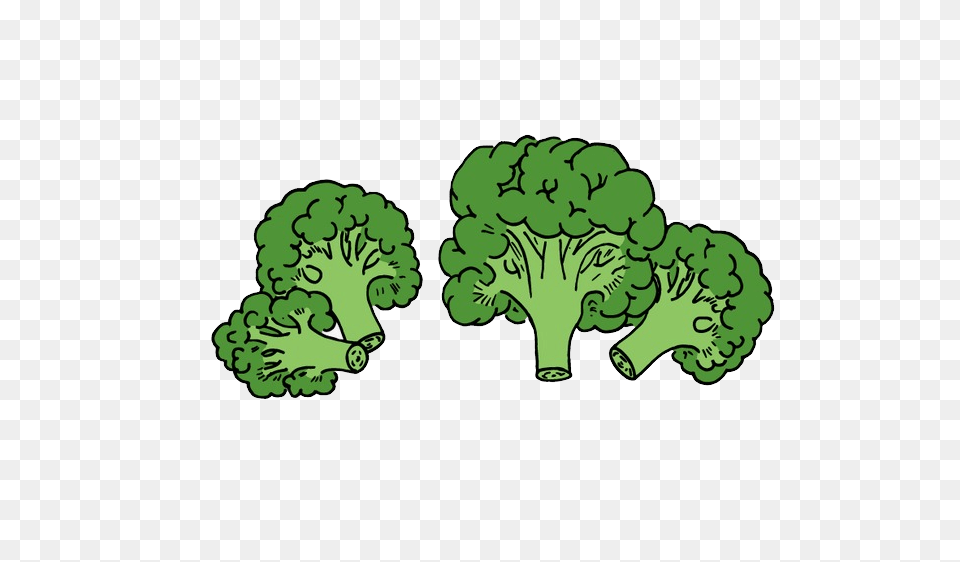 Broccoli, Vegetable, Produce, Food, Plant Png Image