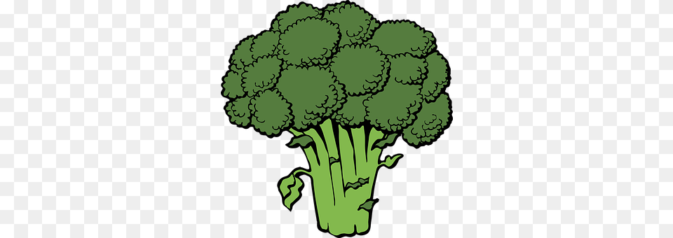 Broccoli Food, Plant, Produce, Vegetable Png