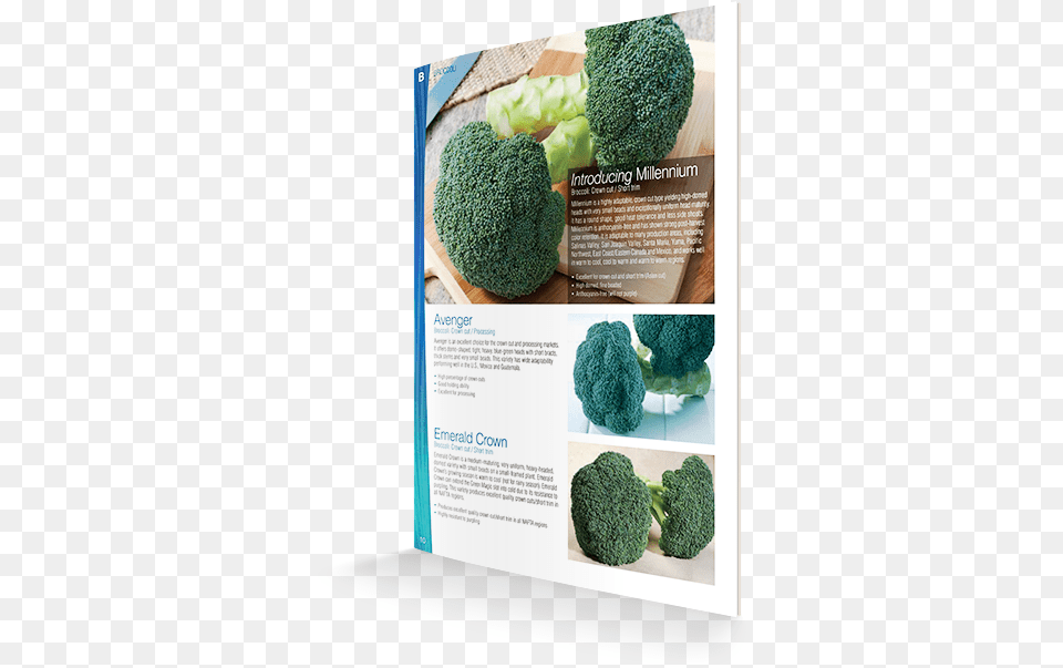 Broccoli, Food, Plant, Produce, Vegetable Free Png