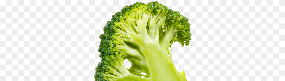 Broccoli, Food, Plant, Produce, Vegetable Free Transparent Png