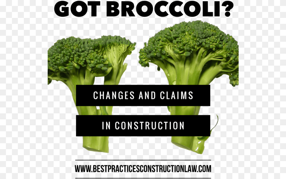 Broccoli, Food, Plant, Produce, Vegetable Free Transparent Png