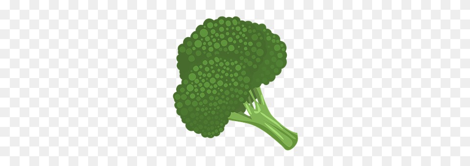 Broccoli Food, Plant, Produce, Vegetable Free Png