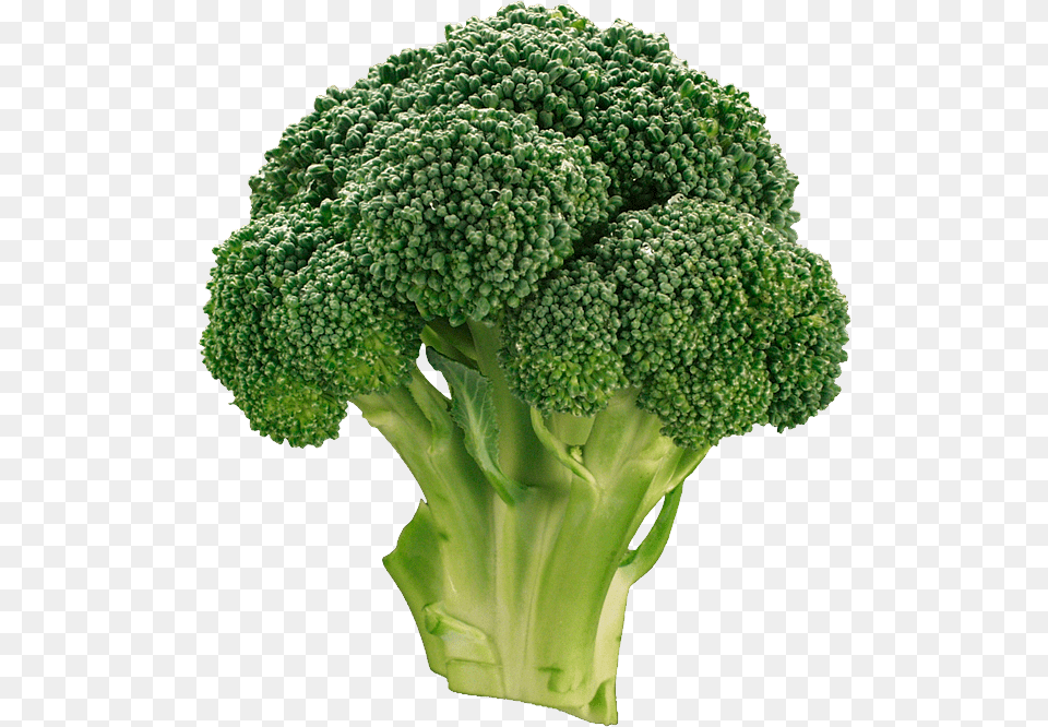Broccoli, Food, Plant, Produce, Vegetable Png