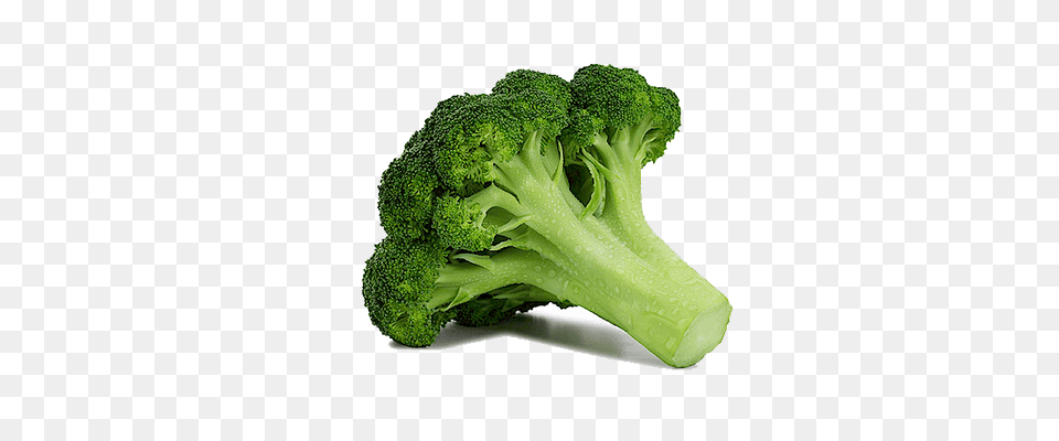 Broccoli, Food, Plant, Produce, Vegetable Png Image