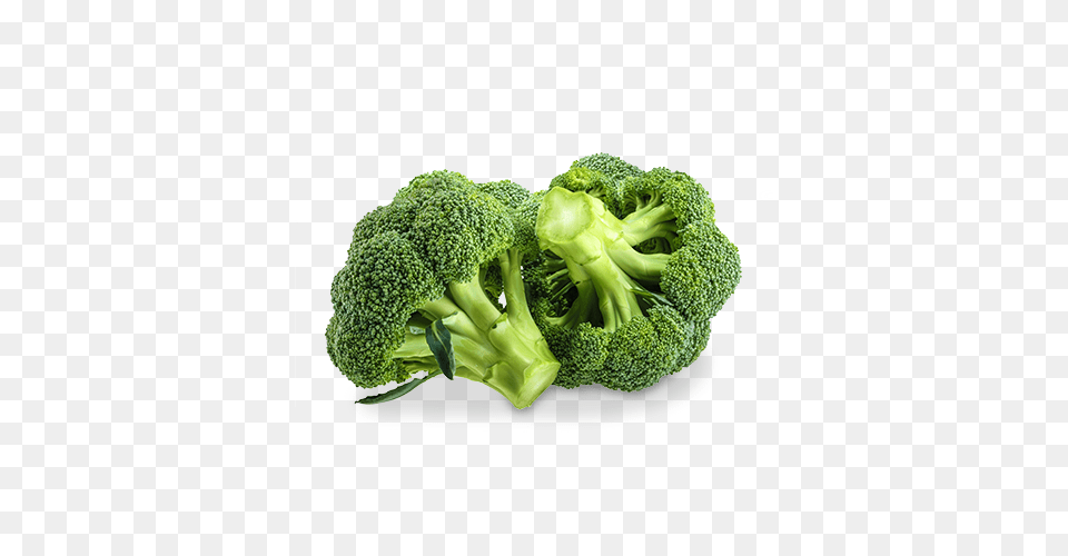 Broccoli, Food, Plant, Produce, Vegetable Free Png