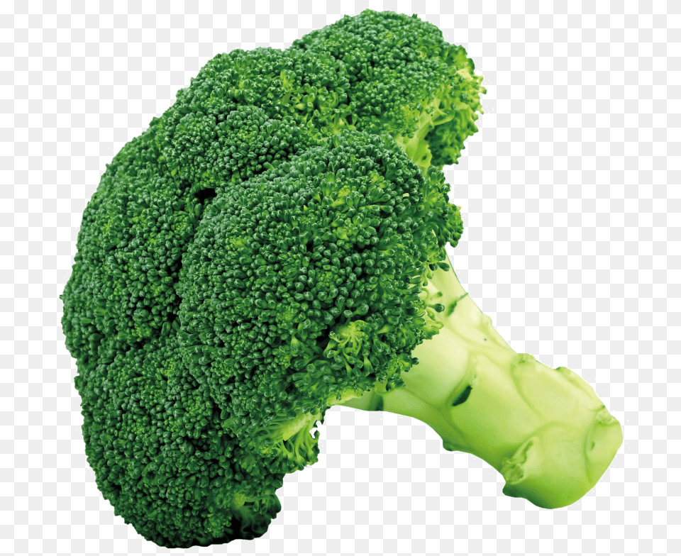 Broccoli, Food, Plant, Produce, Vegetable Free Png