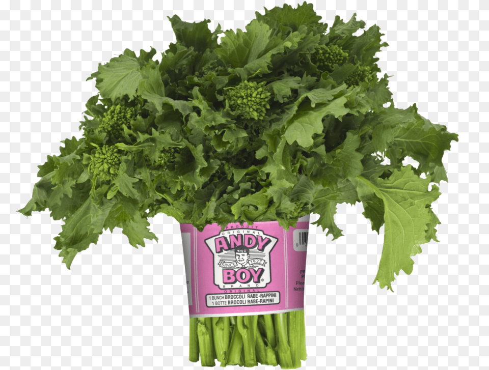 Broccoli Andy Boy Broccoli Rabe, Food, Kale, Leafy Green Vegetable, Plant Free Transparent Png