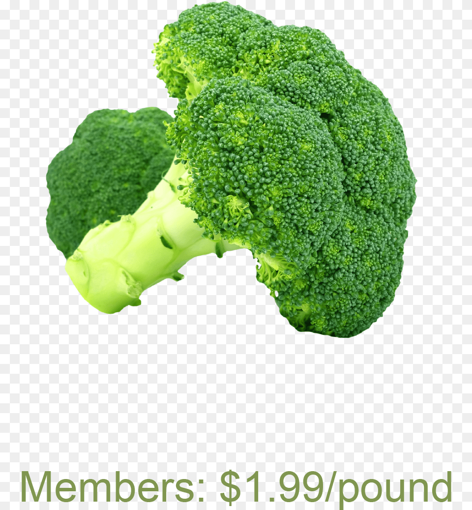 Broccoli Brcoli, Food, Plant, Produce, Vegetable Png