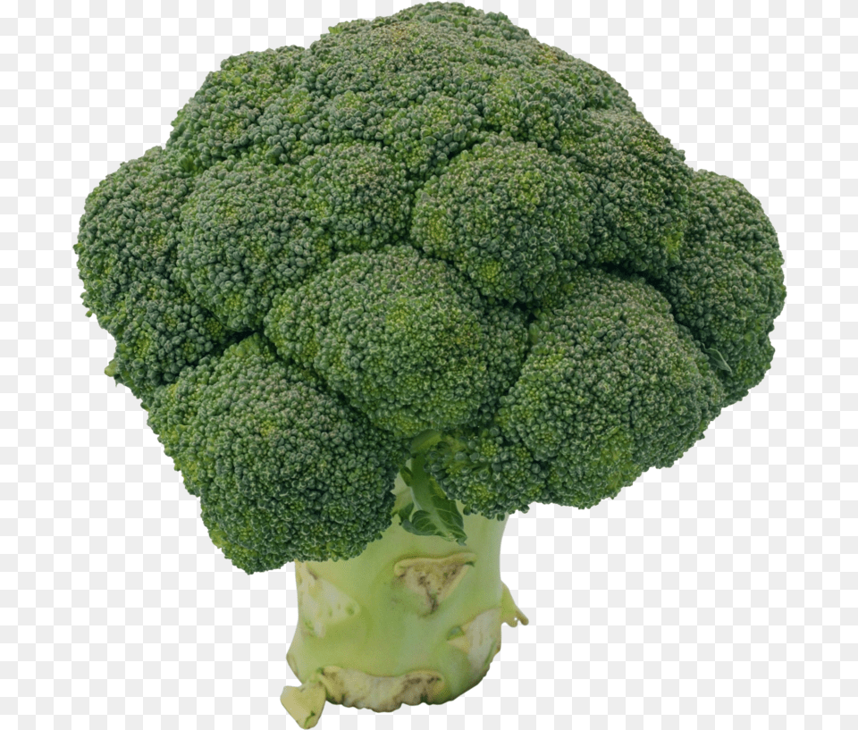 Broccoli Broccoli, Food, Plant, Produce, Vegetable Png