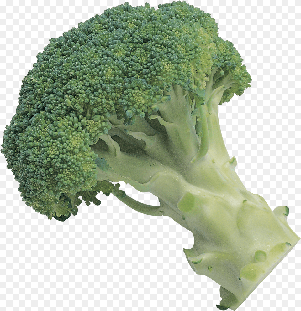 Broccoli Broccoli Background, Food, Plant, Produce, Vegetable Free Transparent Png