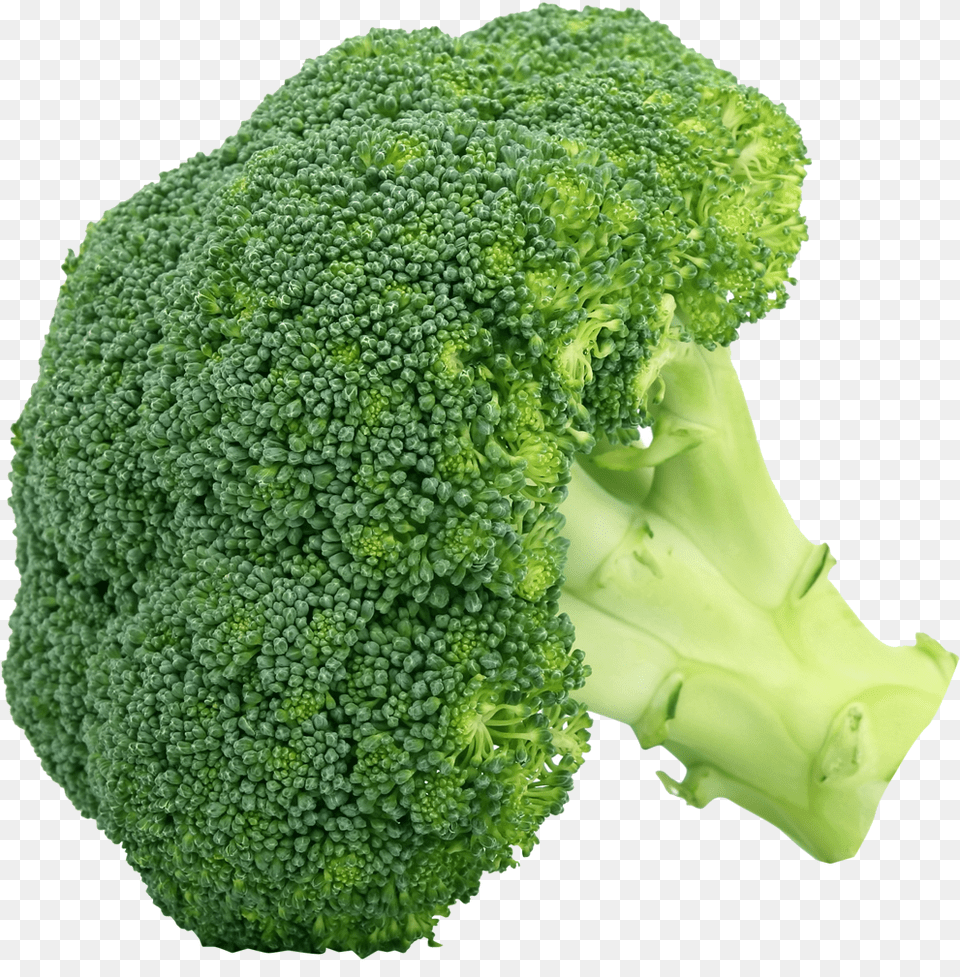 Broccoli Broccoli Vegetables, Food, Plant, Produce, Vegetable Free Transparent Png