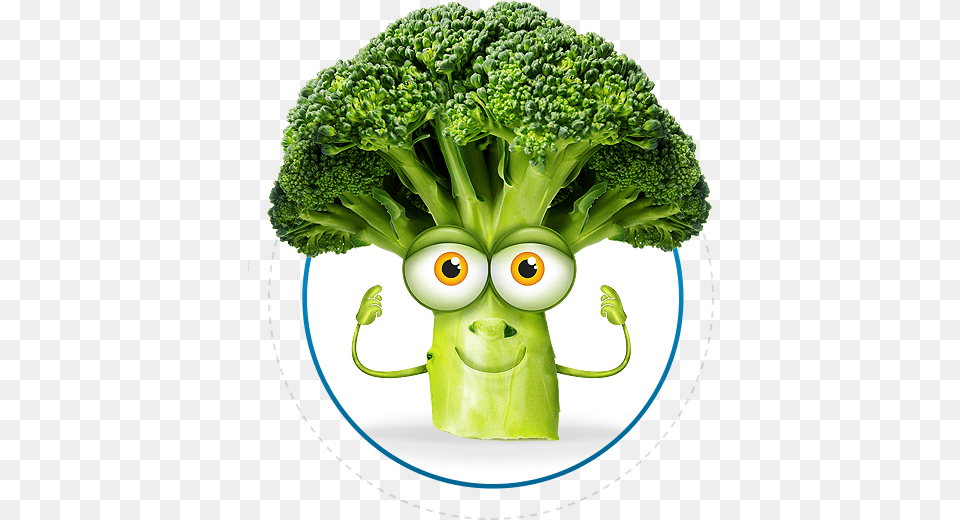 Broccoli Brocolli, Food, Plant, Produce, Vegetable Png