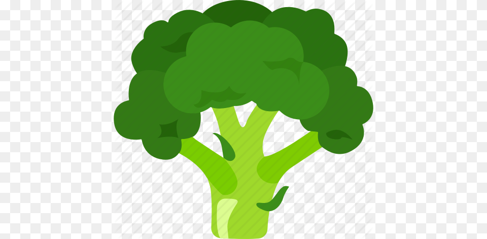Broccoli Calabrese Cauliflower Head Sprout Sprouting Icon, Food, Plant, Produce, Vegetable Free Png Download