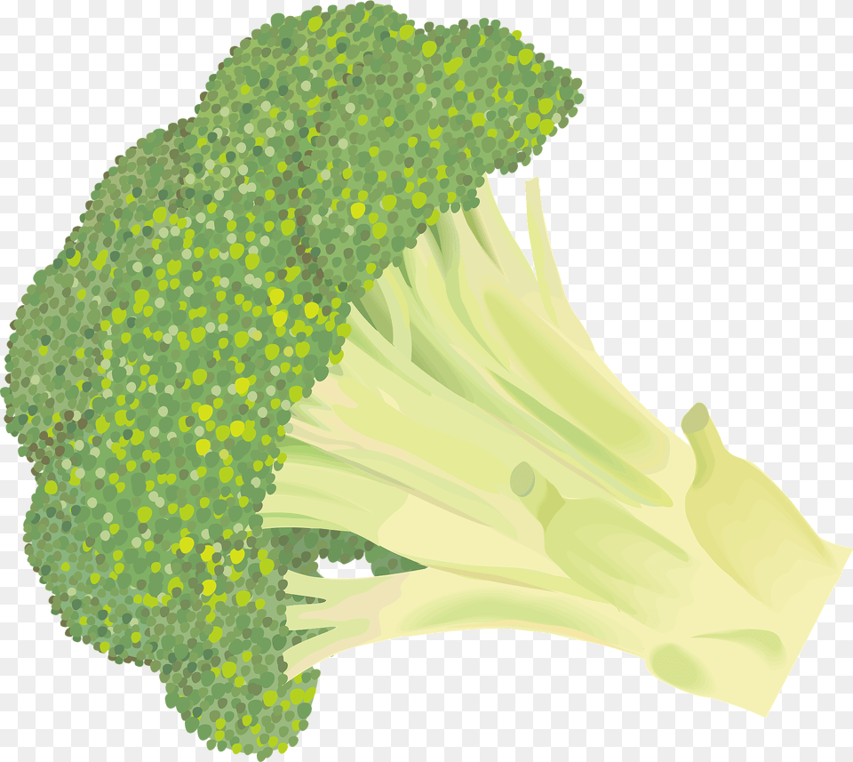 Broccoli Clipart, Food, Plant, Produce, Vegetable Png