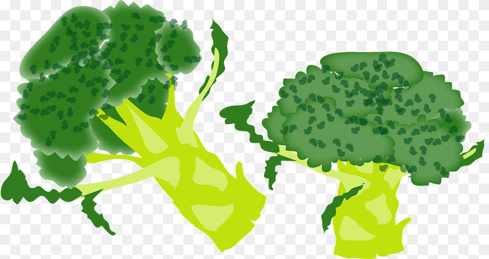 Broccoli Clipart, Food, Plant, Produce, Vegetable Free Png