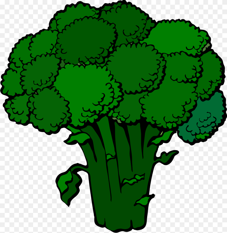 Broccoli Clipart, Food, Plant, Produce, Vegetable Png Image