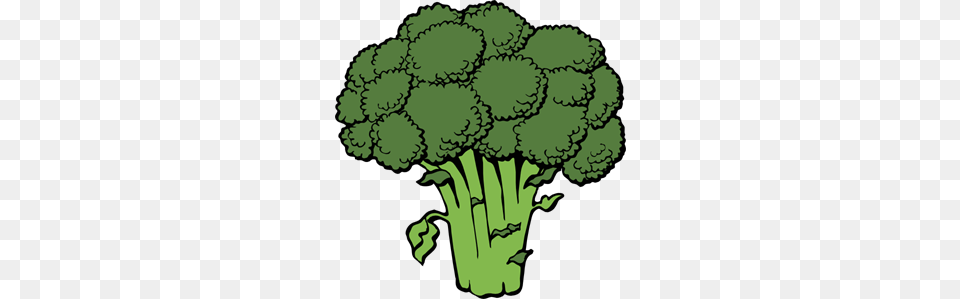 Broccoli Clipart For Web, Food, Plant, Produce, Vegetable Png Image