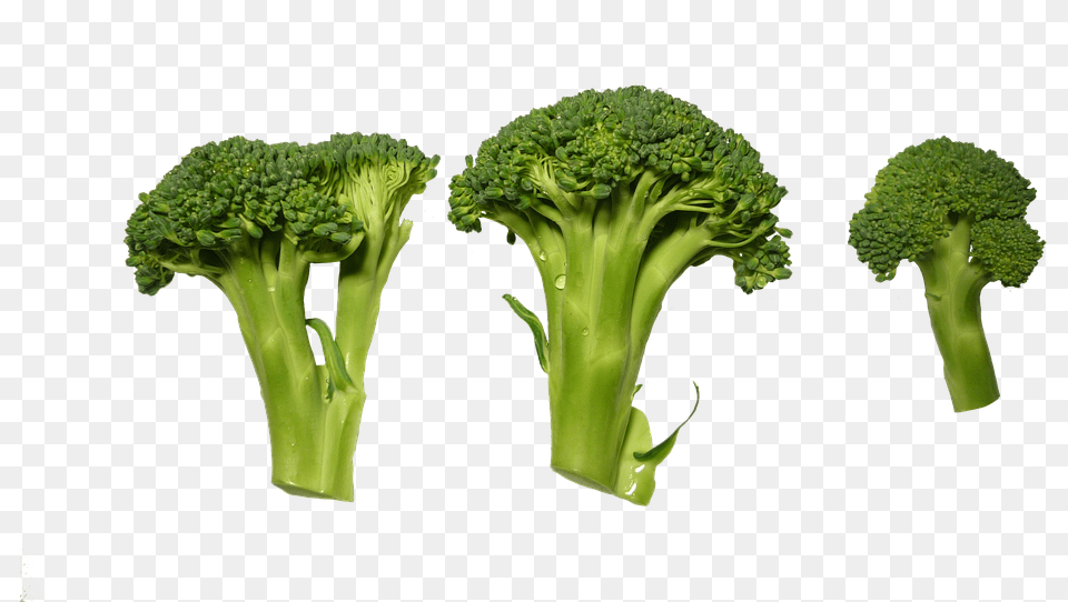 Broccoli Clippings Vegetables Verduras, Food, Plant, Produce, Vegetable Png Image