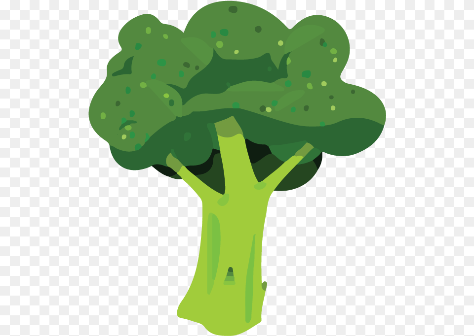 Broccoli Cost Effective Health Foods Illustration, Food, Plant, Produce, Vegetable Png