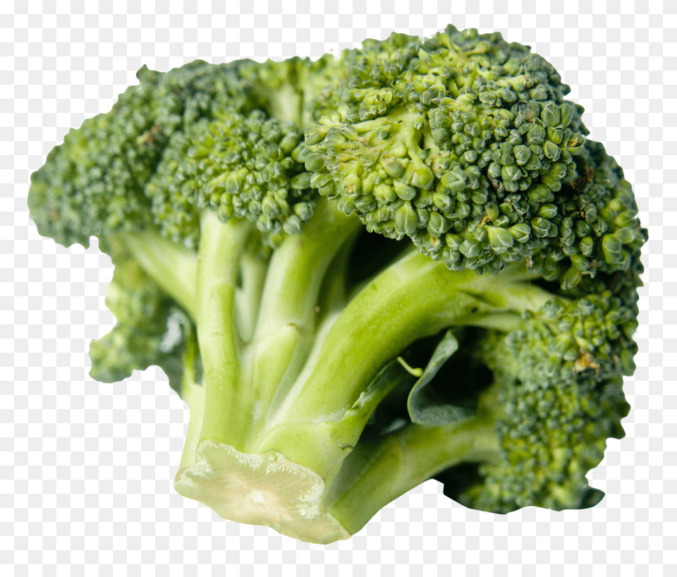 Broccoli Does 50g Of Broccoli Look Like, Food, Plant, Produce, Vegetable Free Png Download