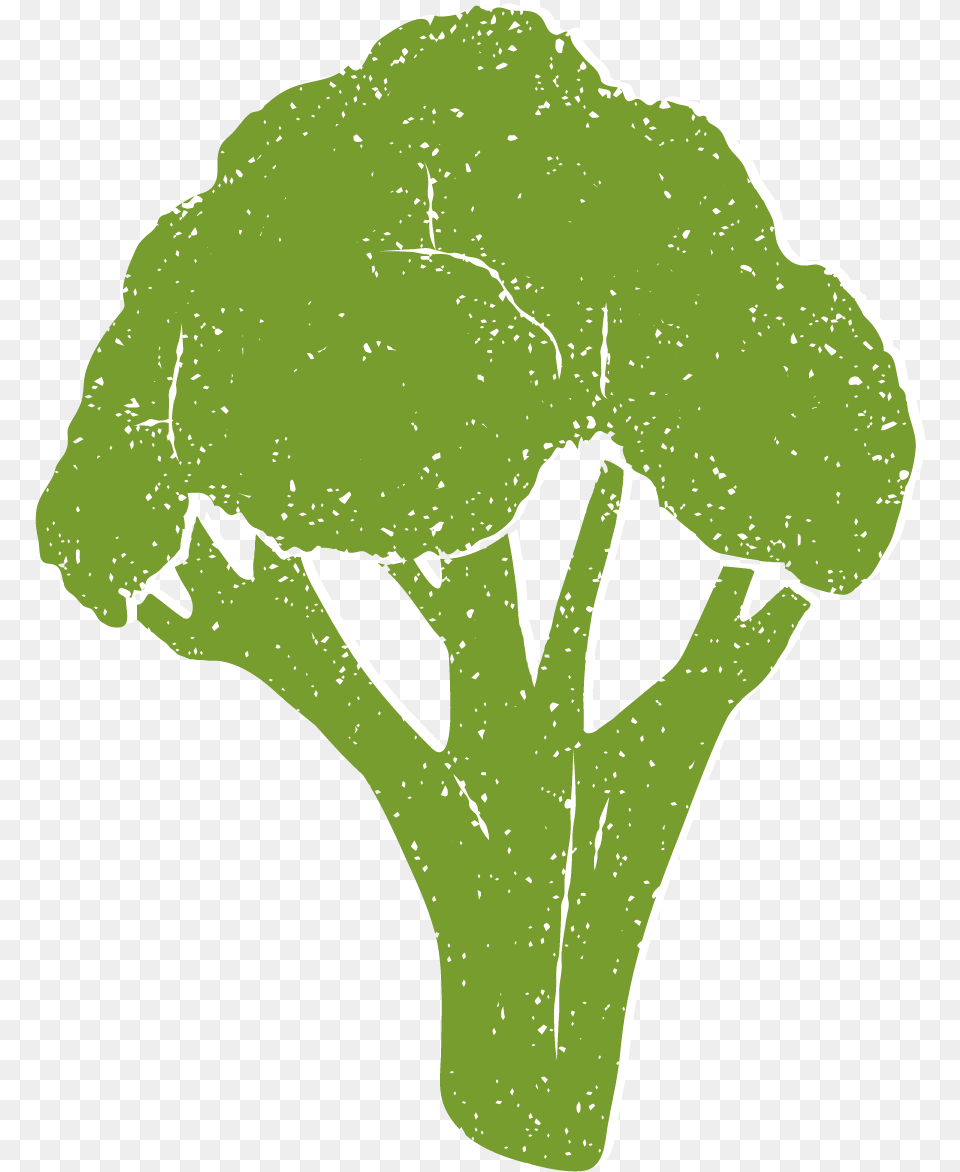 Broccoli Download, Food, Plant, Produce, Vegetable Png