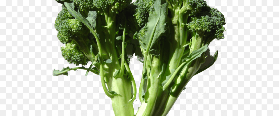 Broccoli Raw Foods For Varicose Veins, Food, Plant, Produce, Vegetable Free Png