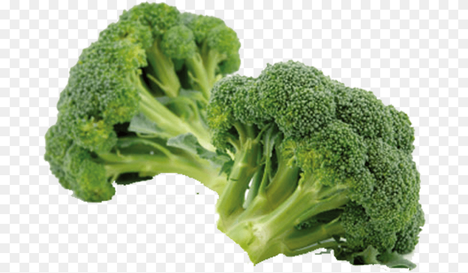 Broccoli Eating Vegetable Sulforaphane Chinese Cabbage Information Of Broccoli, Food, Plant, Produce Free Png Download