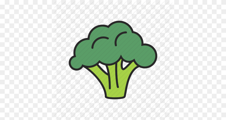 Broccoli Food Healthy Vegetable Vegetarian Icon, Plant, Produce Free Png