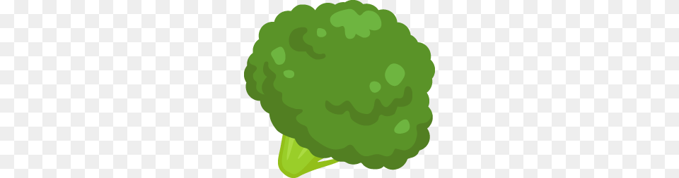Broccoli Free And Vector, Food, Produce, Plant, Vegetable Png Image