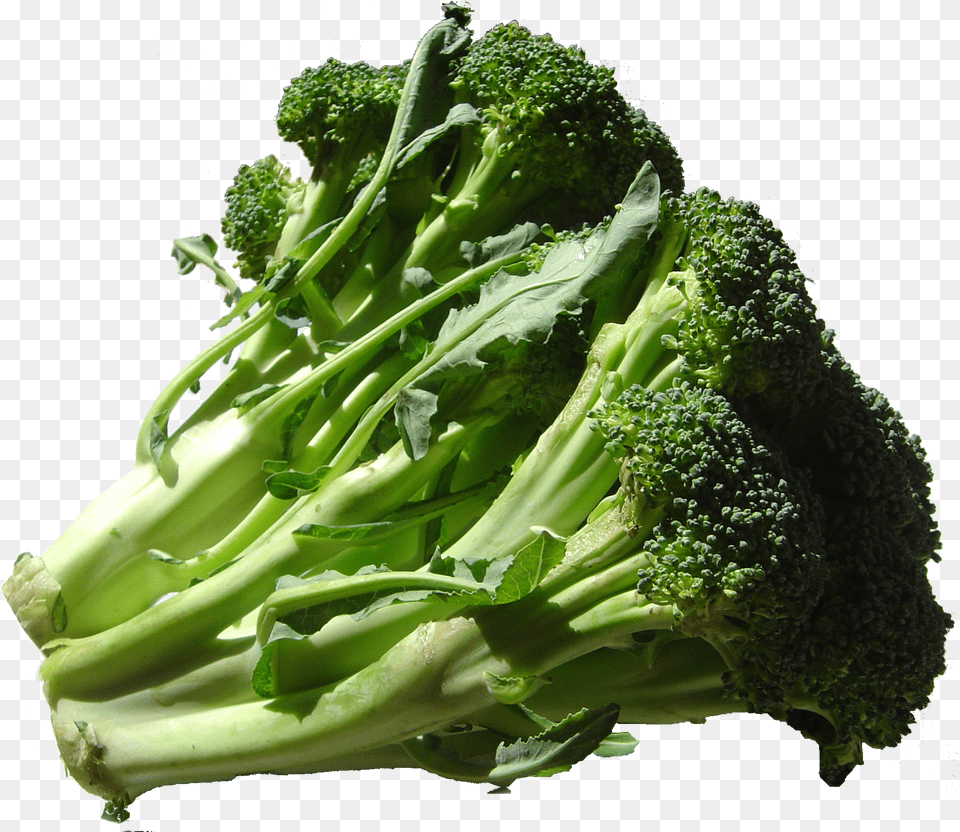Broccoli Fruits Used As Vegetables Free Png Download