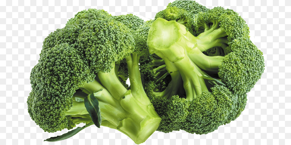 Broccoli Good For You, Food, Plant, Produce, Vegetable Png Image