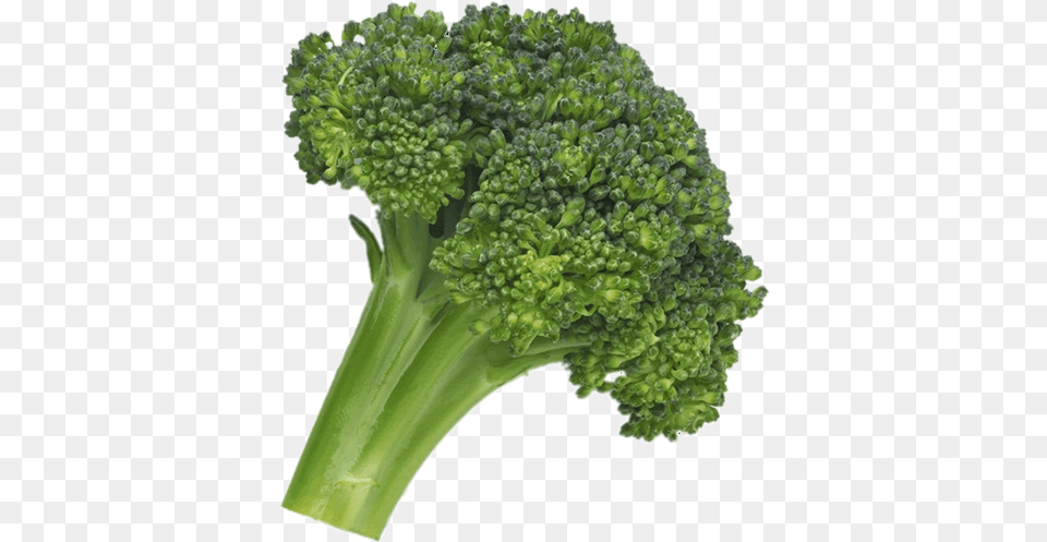 Broccoli Green Food, Plant, Produce, Vegetable Png