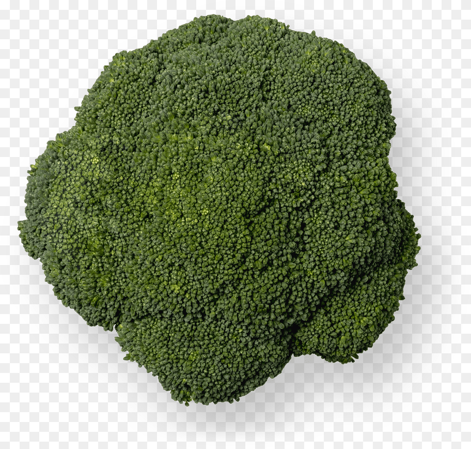 Broccoli Grupo Lucas Moss, Food, Plant, Produce, Vegetable Free Transparent Png