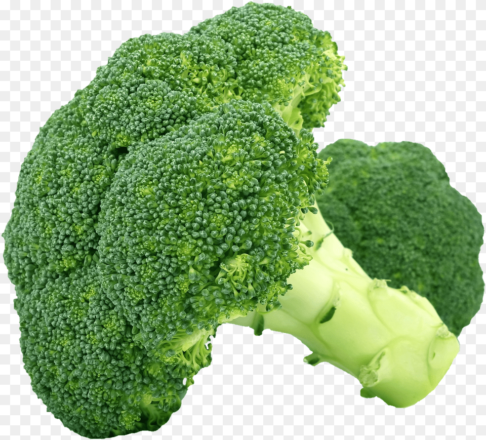 Broccoli Hd, Food, Plant, Produce, Vegetable Png