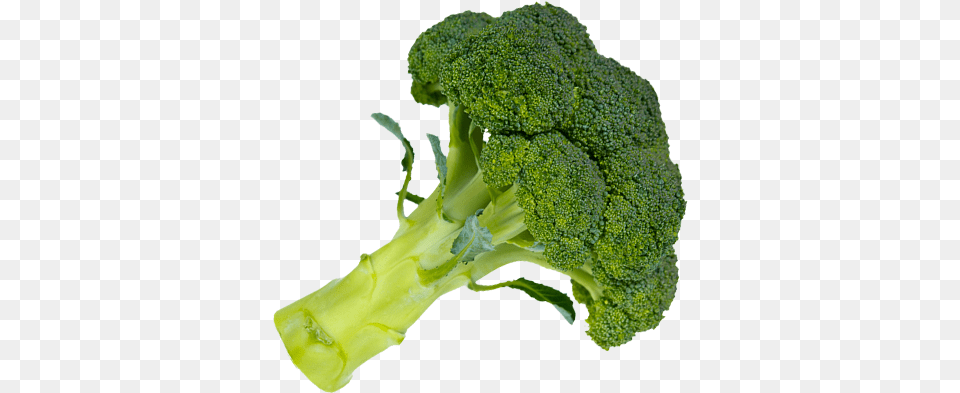 Broccoli Hd Photo Broccoli, Food, Plant, Produce, Vegetable Png Image