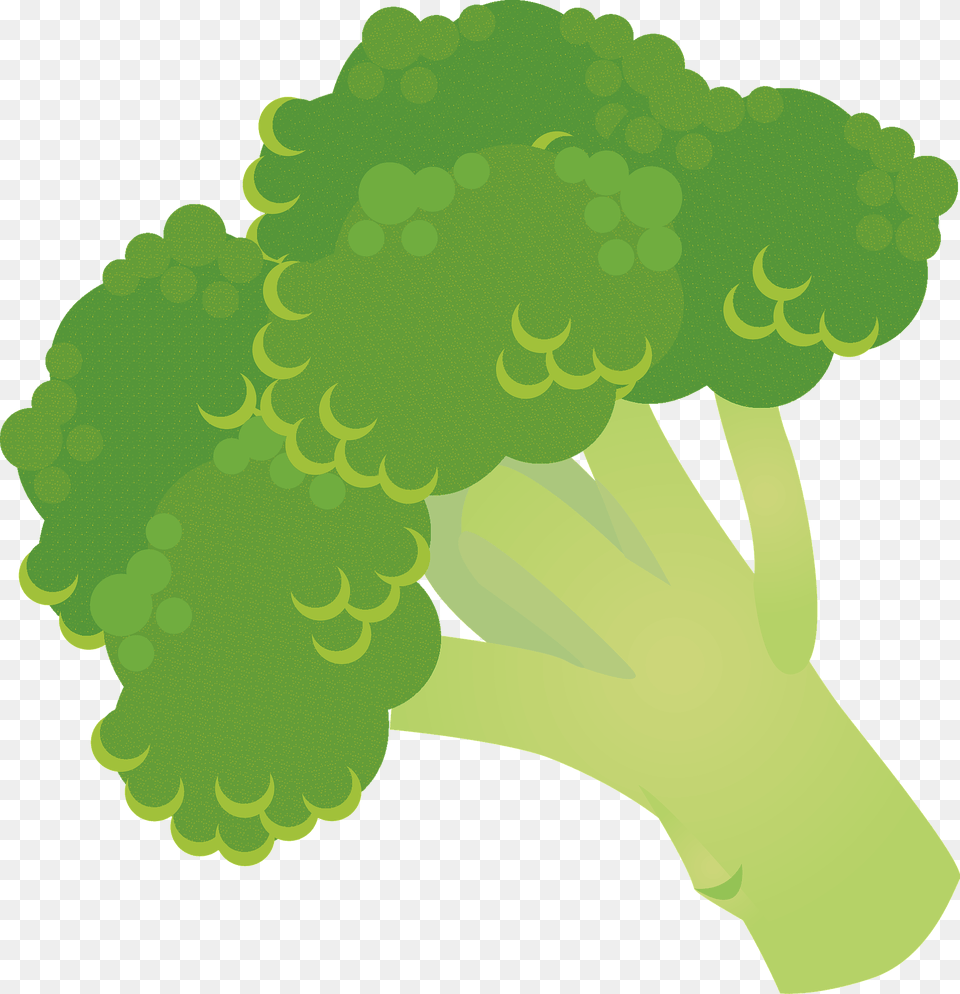 Broccoli Head Clipart, Food, Plant, Produce, Vegetable Png Image