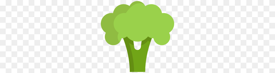 Broccoli Icon Myiconfinder, Food, Plant, Produce, Vegetable Png Image