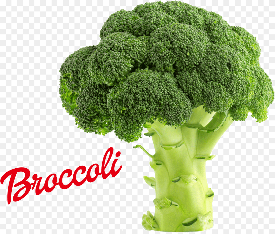 Broccoli Does Fruit And Veg Give You, Food, Plant, Produce, Vegetable Png Image