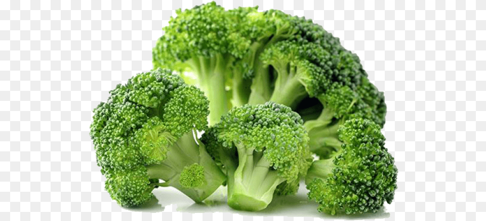 Broccoli Images, Food, Plant, Produce, Vegetable Png Image