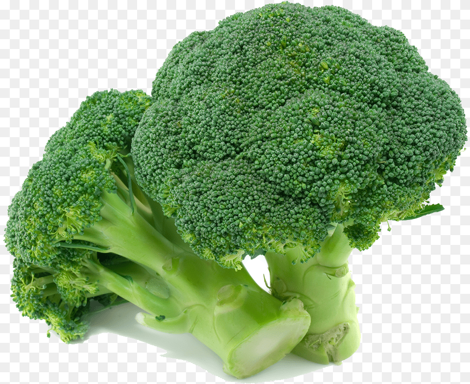 Broccoli Images Broccoli Transparent, Food, Plant, Produce, Vegetable Free Png