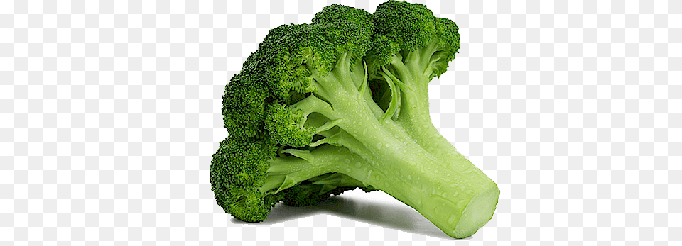 Broccoli Large, Food, Plant, Produce, Vegetable Png Image