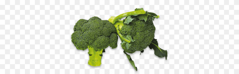 Broccoli Leaves Vegetables, Food, Plant, Produce, Vegetable Png