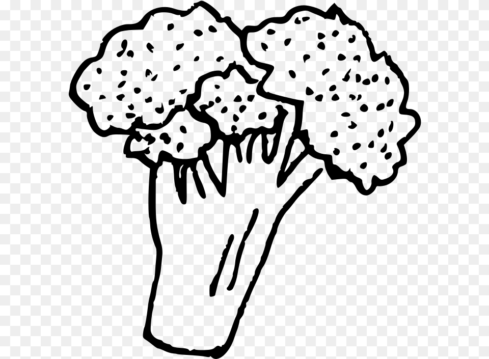 Broccoli Line Art, Gray Png