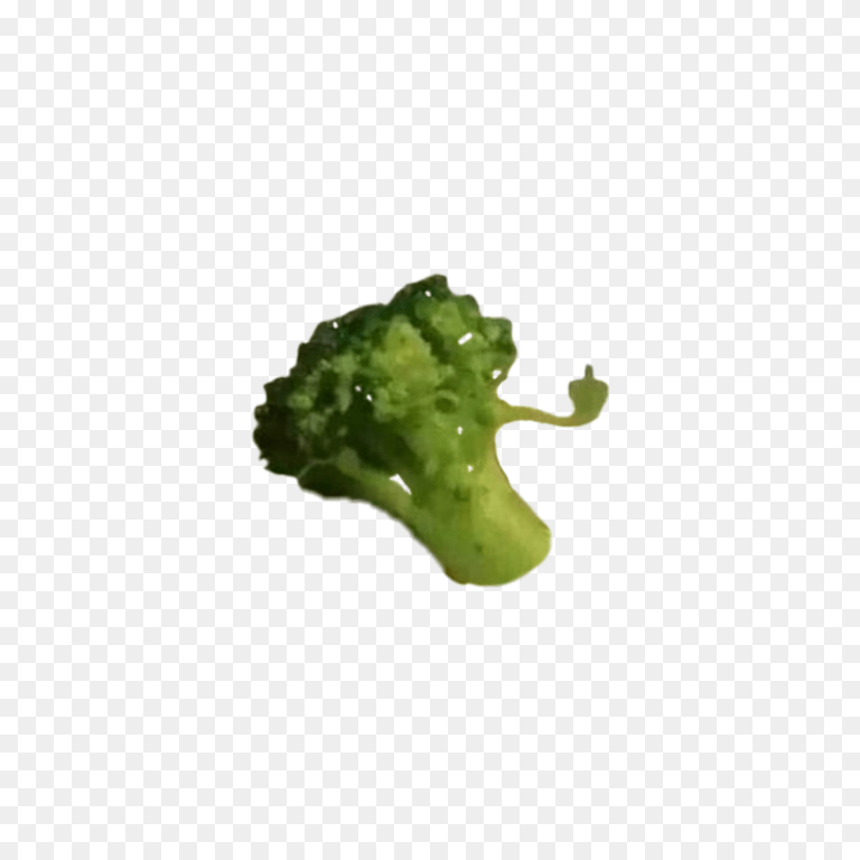 Broccoli Maybe Your Broccoli Doesn T Like You Either, Food, Plant, Produce, Vegetable Png