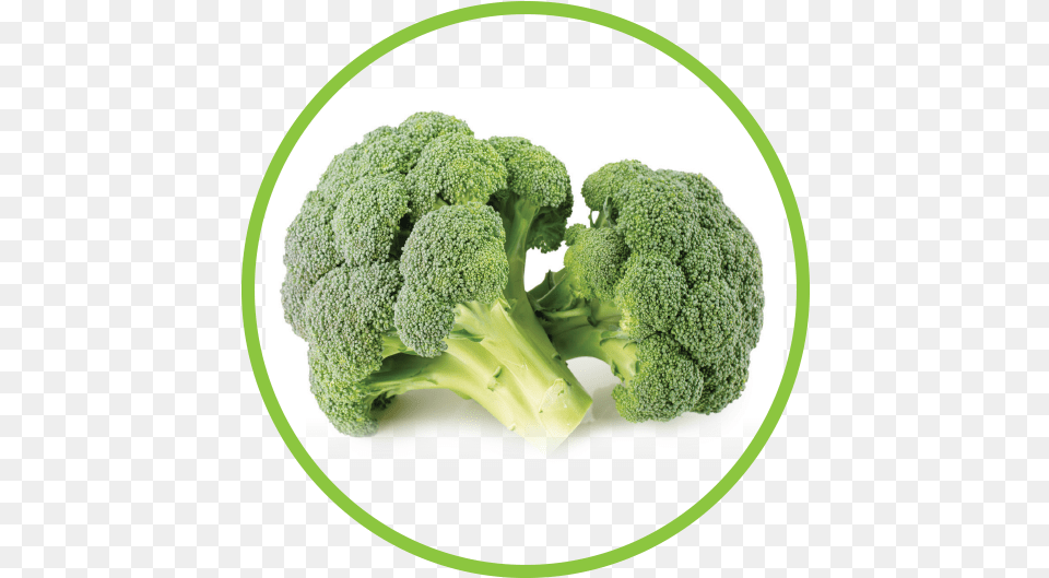Broccoli Md Circle Broccoli, Food, Plant, Produce, Vegetable Free Png